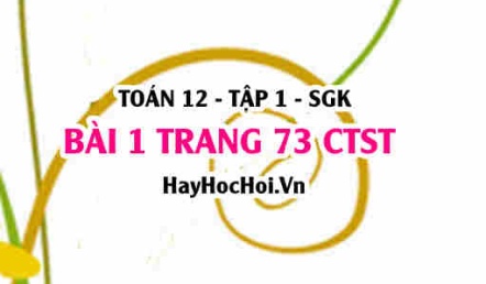 Bài 1 trang 73 Toán 12 tập 1 Chân trời sáng tạo
